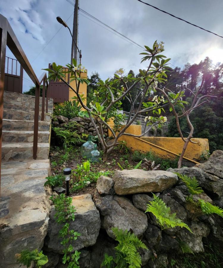イコー・デ・ロス・ビノス Vv Casa Muyaヴィラ エクステリア 写真